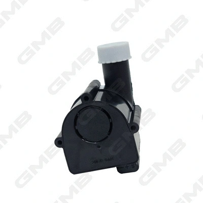 Auxiliary Water Pump (cooling water circuit)