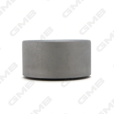 Deflection/Guide Pulley, timing belt