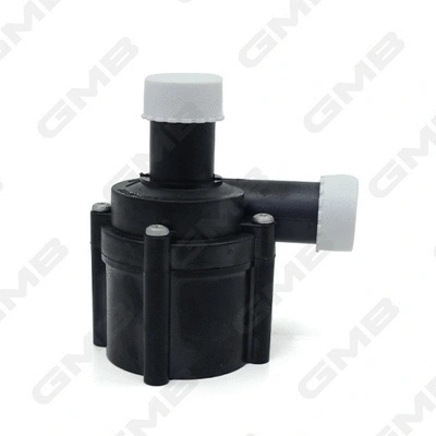Auxiliary Water Pump (cooling water circuit)