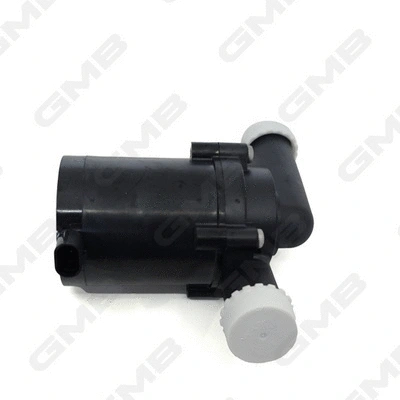 Auxiliary Water Pump (cooling water circuit)