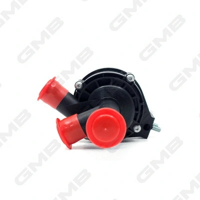 Auxiliary Water Pump (cooling water circuit)