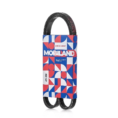 V-Ribbed Belt (4PK890)