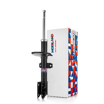 Shock Absorber (134103600)