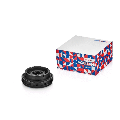 Suspension Strut Support Mount (137100121)