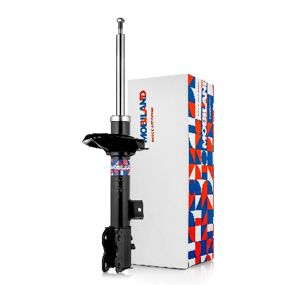 Shock Absorber (134213500)