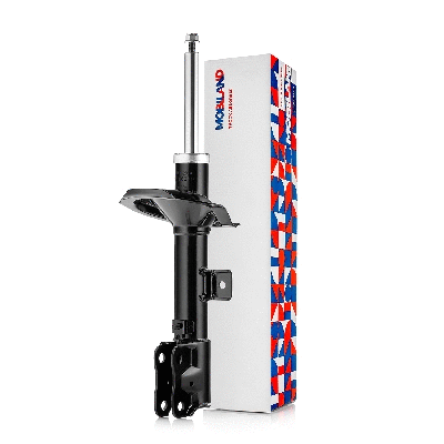 Shock Absorber (134116300)