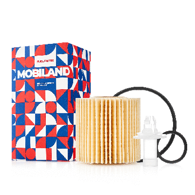 Oil Filter (802001610)