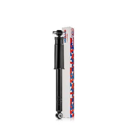 Shock Absorber (134206090)