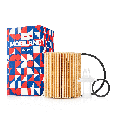 Oil Filter (802001620)