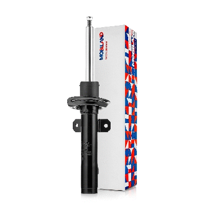 Shock Absorber (134104980)