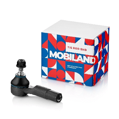 Tie Rod End (325013250)