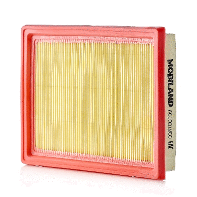 Air Filter (801001900)