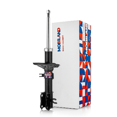 Shock Absorber (134122150)