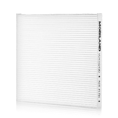 Filter, cabin air (804002430)