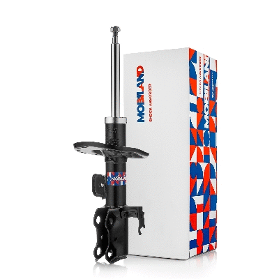 Shock Absorber (134113790)