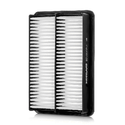 Air Filter (801001910)