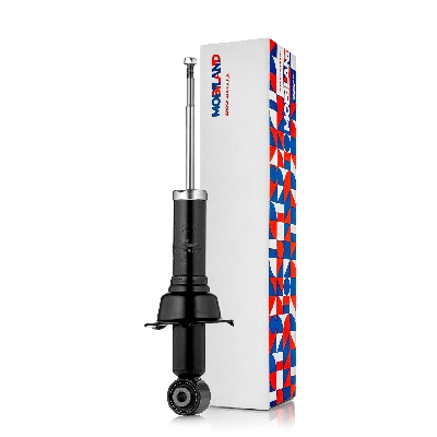 Shock Absorber (134202410)