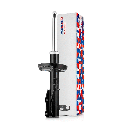 Shock Absorber (134124480)