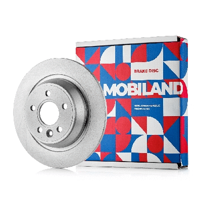 Brake Disc (416201740)