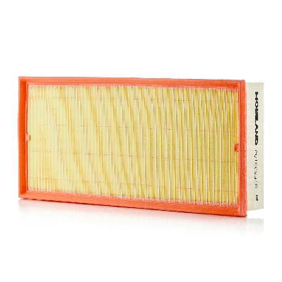 Air Filter (801002310)