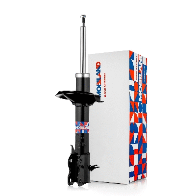 Shock Absorber (134113300)