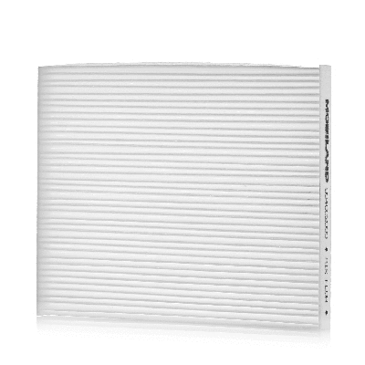 Filter, cabin air (804002000)