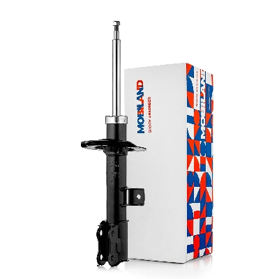 Shock Absorber (134122700)