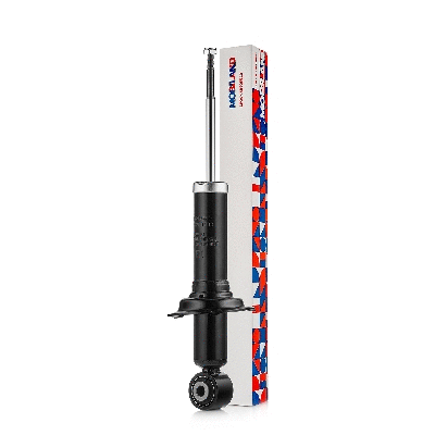 Shock Absorber (134206400)