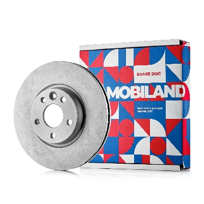 Brake Disc (416101731)