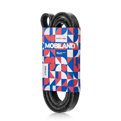 V-Ribbed Belt (501262490)