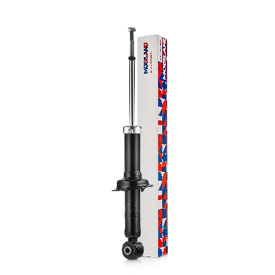 Shock Absorber (134206320)
