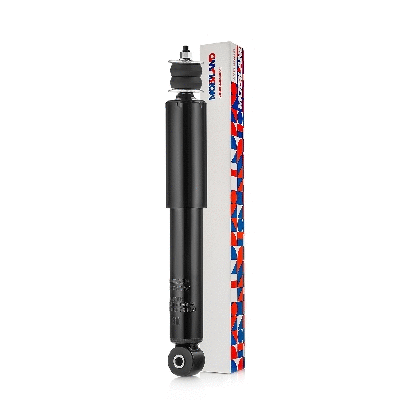 Shock Absorber (134106850)