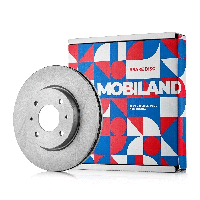 Brake Disc (416101231)