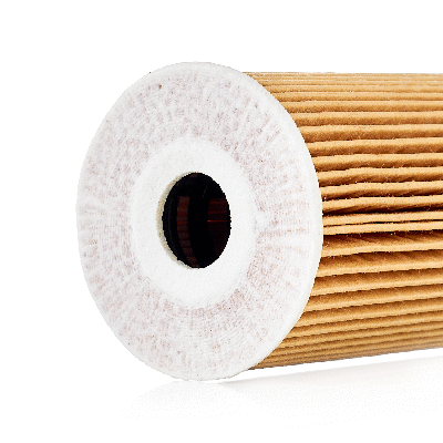 Oil Filter (802003070)