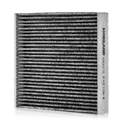Filter, cabin air (804001831)