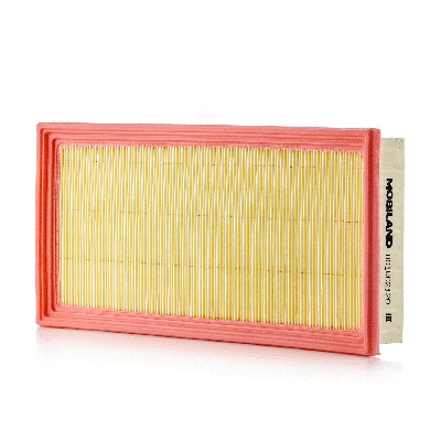 Air Filter (801002120)