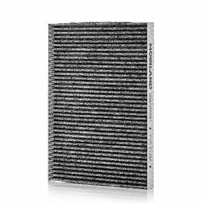 Filter, cabin air (804002281)