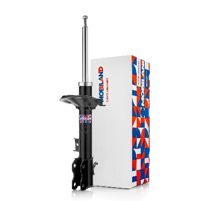 Shock Absorber (134223520)