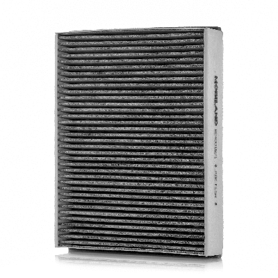 Filter, cabin air (804001671)