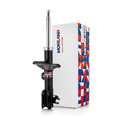 Shock Absorber (134122170)