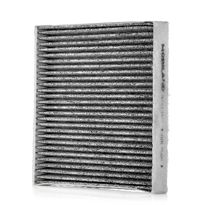 Filter, cabin air (804001811)