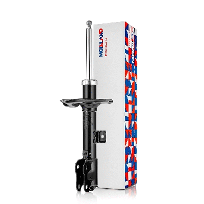 Shock Absorber (134114650)