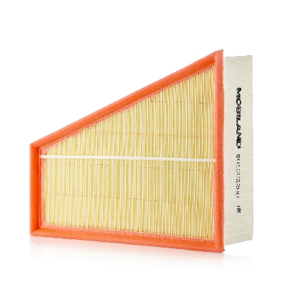 Air Filter (801002200)