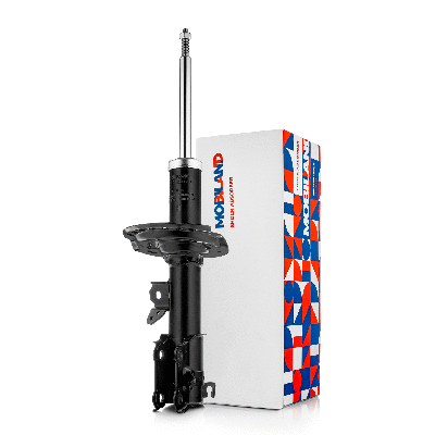 Shock Absorber (134113070)