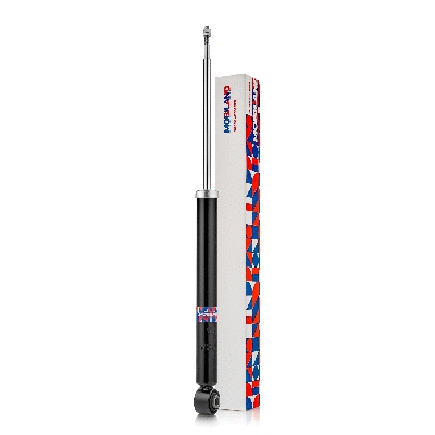 Shock Absorber (134203700)