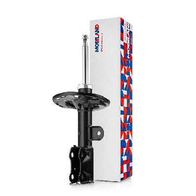 Shock Absorber (134125400)