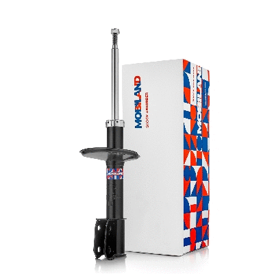 Shock Absorber (134103590)