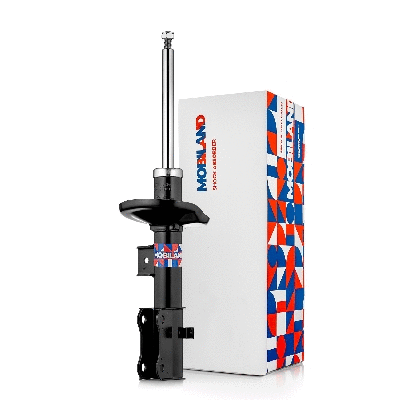 Shock Absorber (134121940)