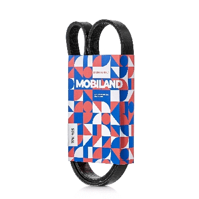 V-Ribbed Belt (501271125)
