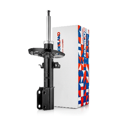 Shock Absorber (134106100)